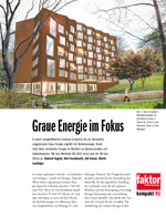 graue_energie